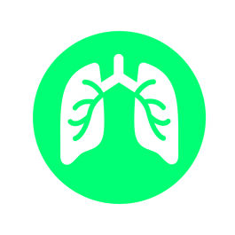 BioFire FilmArray Pneumonia Panel plus